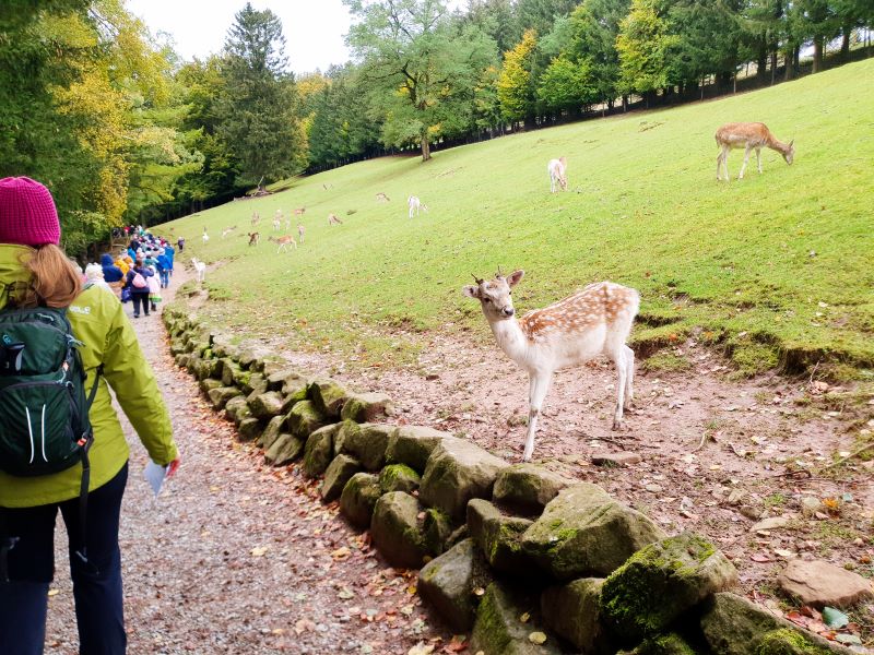 Kooperationsgottesdienst im Wildpark Gersfeld 2024