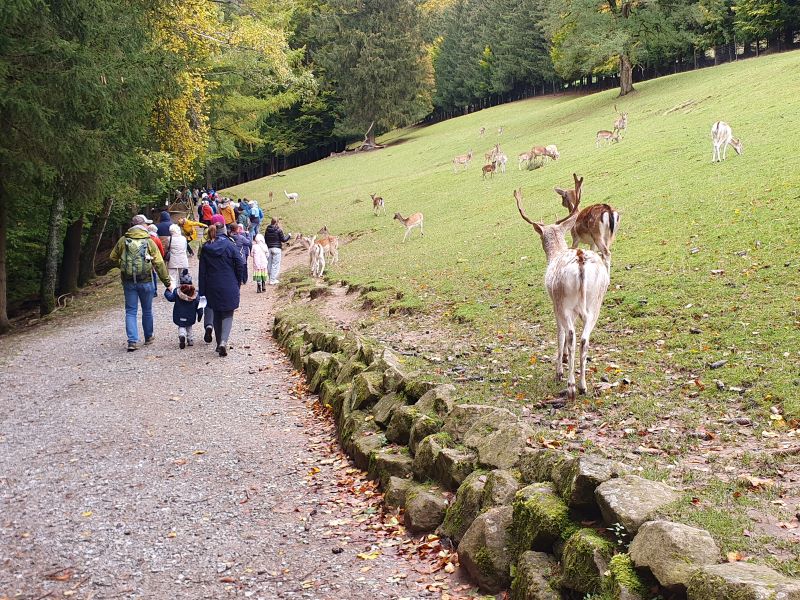 Kooperationsgottesdienst im Wildpark Gersfeld 2024