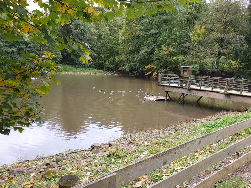 Kooperationsgottesdienst im Wildpark Gersfeld 2024