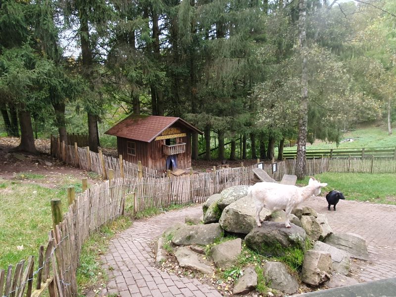 Kooperationsgottesdienst im Wildpark Gersfeld 2024