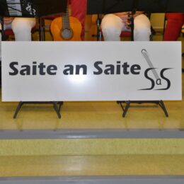 Konzert Saite an Saite 2024